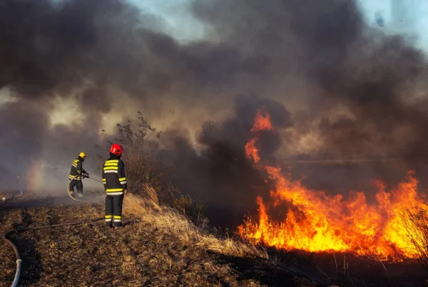 Predicting and Preventing Natural Disasters with AI